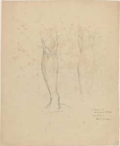 Due Gambe da William Blake