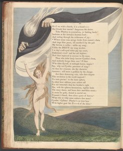 Pensieri Notturni di Young, Pagina 46, Dove il senso corre selvaggio sfuggito dalla catena della ragione