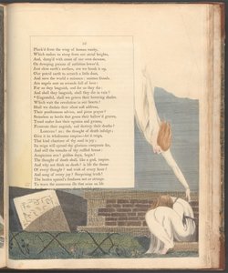 Pensieri notturni di Young, Pagina 55, "Ingrati, ci rattristeremo delle loro ombre fluttuanti" da William Blake