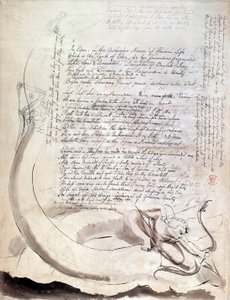 Il poema illustrato 