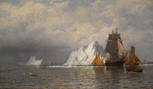  da William Bradford