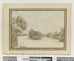 Vista nella parte superiore di Port Jackson; quando il pesce è stato catturato, c.1802 da William Bradley