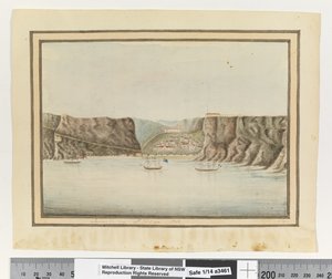 Opp. p. 299. `Valle di James a St Helena 1792