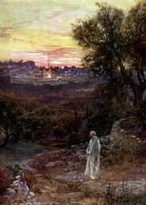 Gesù sul Monte degli Ulivi - Bibbia