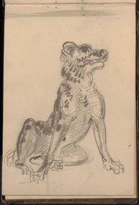 Ritratto di un Cane da William Brockedon