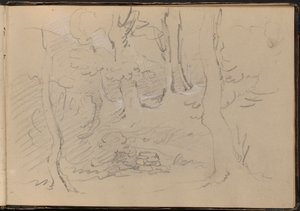 Schizzo di un Gruppo di Alberi da William Brockedon