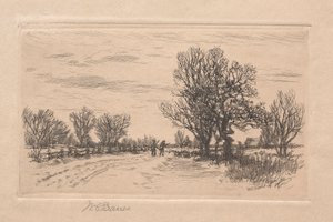 Paesaggio da William C. Bauer