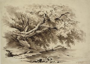 Paesaggio con alberi che sovrastano un lago