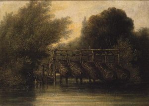 Trappole per anguille da William Collins