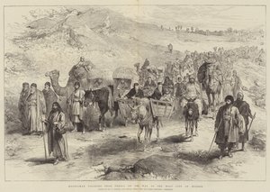 Pellegrini musulmani dalla Persia in cammino verso la città santa di Meshed