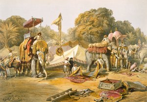 Pheel Khana, o Quartieri degli Elefanti, Campo di Holcar, da 