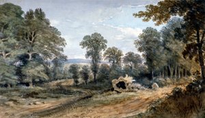 Veduta di Bayswater Hill, Londra, 1803 da William Crotch