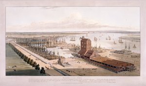 Brunswick Dock e East India Dock, Poplar, Londra, 1803