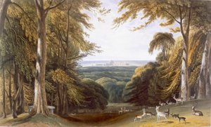Valle nel Windsor Park vicino a Bishops Gate, c. 1827-30 da William Daniell