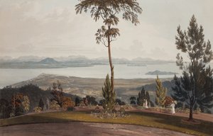 Vista da Strawberry Hill, Isola del Principe di Galles da William Daniell