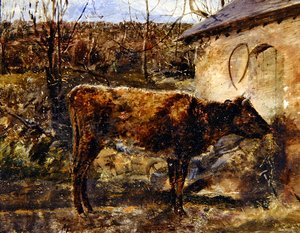 Un vitello