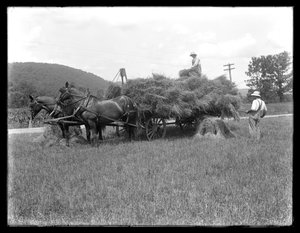 Due uomini che caricano covoni di grano su un carro trainato da cavalli, probabilmente la fattoria McCready, Contea di Crawford, Pennsylvania, c.1913 da William Davis Hassler