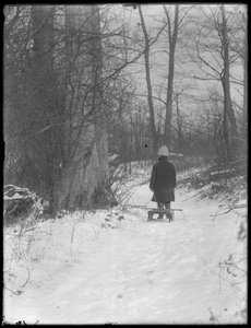 William Gray Hassler che tira la sua slitta attraverso i boschi innevati, c.1912