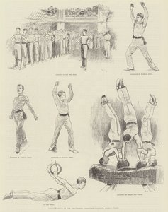 La palestra dell