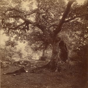 Foresta di Fontainebleau da William Drooke Harrison