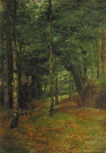 Studio della luce del sole attraverso gli alberi, Concarneau