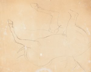 Studio di un cavallo