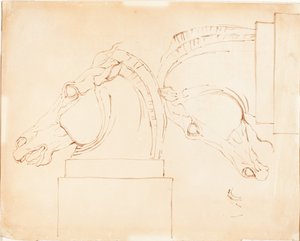 Il cavallo di Selene dai Marmi di Elgin [recto] da William Etty