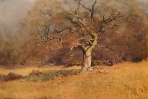 Boschi invernali, c1916, 1938 da William Eyre Walker