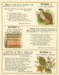 Pagina dal The Bible Emblem Anniversary Book da William Foster