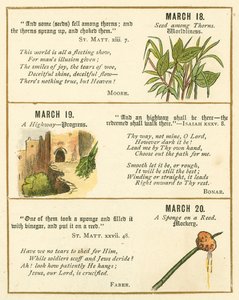 Pagina dal Libro Anniversario della Bibbia Emblema da William Foster