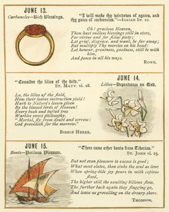 Pagina dal Libro Anniversario della Bibbia Emblema da William Foster