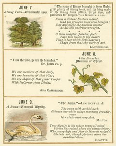 Pagina dal Libro Anniversario della Bibbia Emblema da William Foster