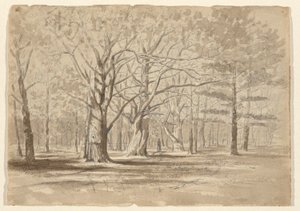 College Woods da William Fowler Hopson