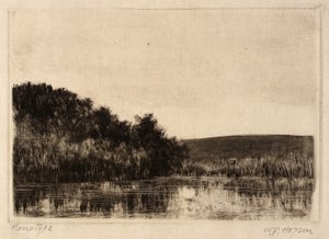 Paesaggio fluviale da William Fowler Hopson