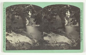Cascate della foresta dall