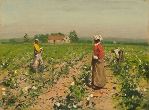 Raccolta del Cotone da William Gilbert Gaul