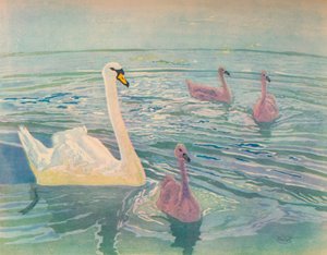 Cigno e cignetti
