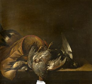 Selvaggina morta