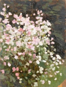 Fiori rosa da William Gunning King