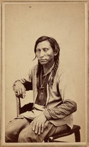 Lupo grigio, anni 1860 (foto) da William Gunnison Chamberlain