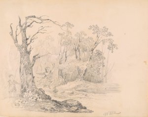 Scena da Scott da William Guy Wall