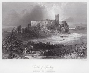 Castello di Spielberg da William H. Bartlett