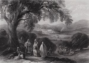 Valle di Nazareth (incisione) da William H. Bartlett