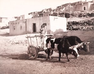 La vecchia Carreta, Laguna, Nuovo Messico da William H. Jackson