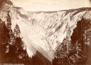 Parco nazionale di Yellowstone
