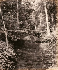 Lago di Owasco, Cascade Glen, per la Lehigh Valley Railroad da William H. Rau