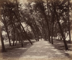 Area picnic da William H. Rau