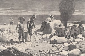 Schizzi al mare - Una Clam-Bake Harper