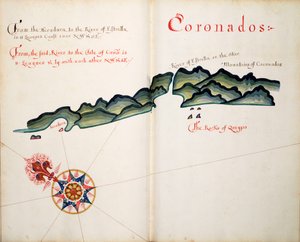Coronados