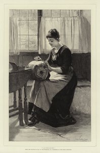 Merlettaia